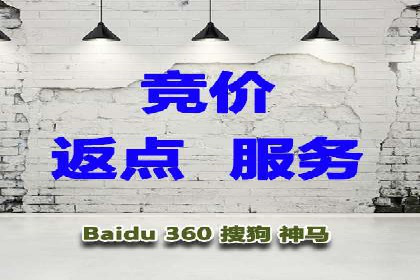 SEM代运营成功案例：如何实现流量翻倍增长