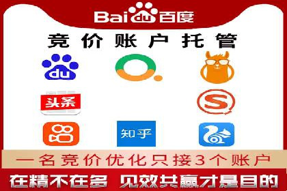 SEM代理案例：优化策略助力企业增长